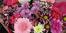 Fresh flowers