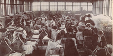 Lace industry