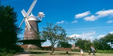 Greens Mill
