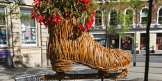 Nottingham in Bloom Floral Trail
