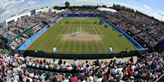 Aegon Crowd Shot