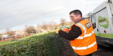 Hedge Cutting