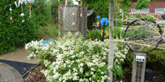 Oak Field School