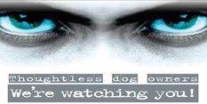 Dog Fouling campaign image