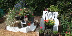 St Ann's Allotments