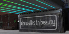she walks in beauty
