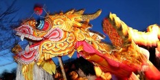 Chinese new year