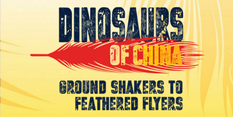 Dinosaurs of China logo