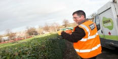 Hedge cutting
