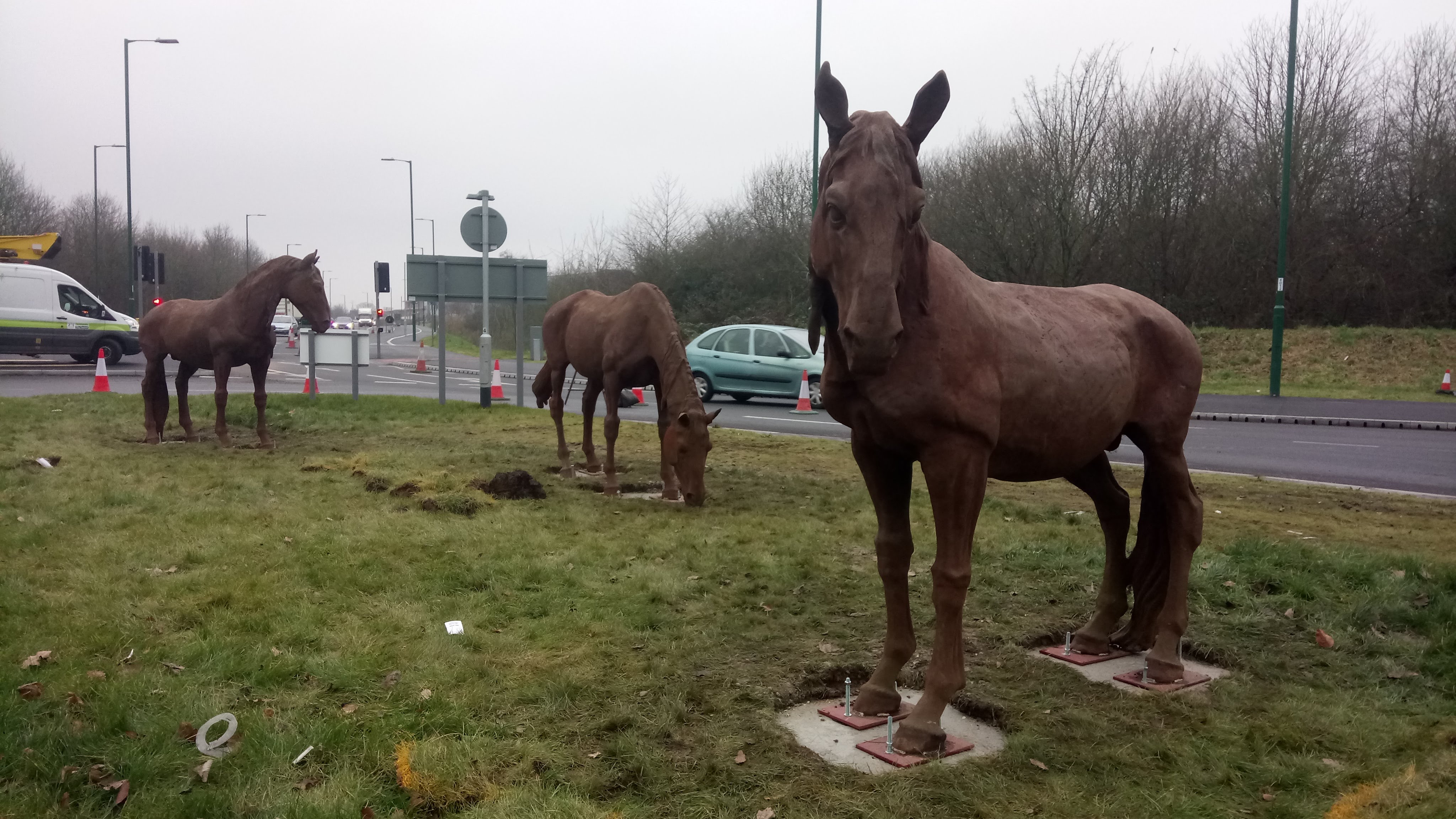 New 'neigh'bours on Daleside Road