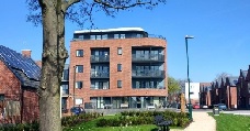 Lenton regeneration