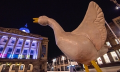 Goosey flies the nest for five-day trip to Old Market Square