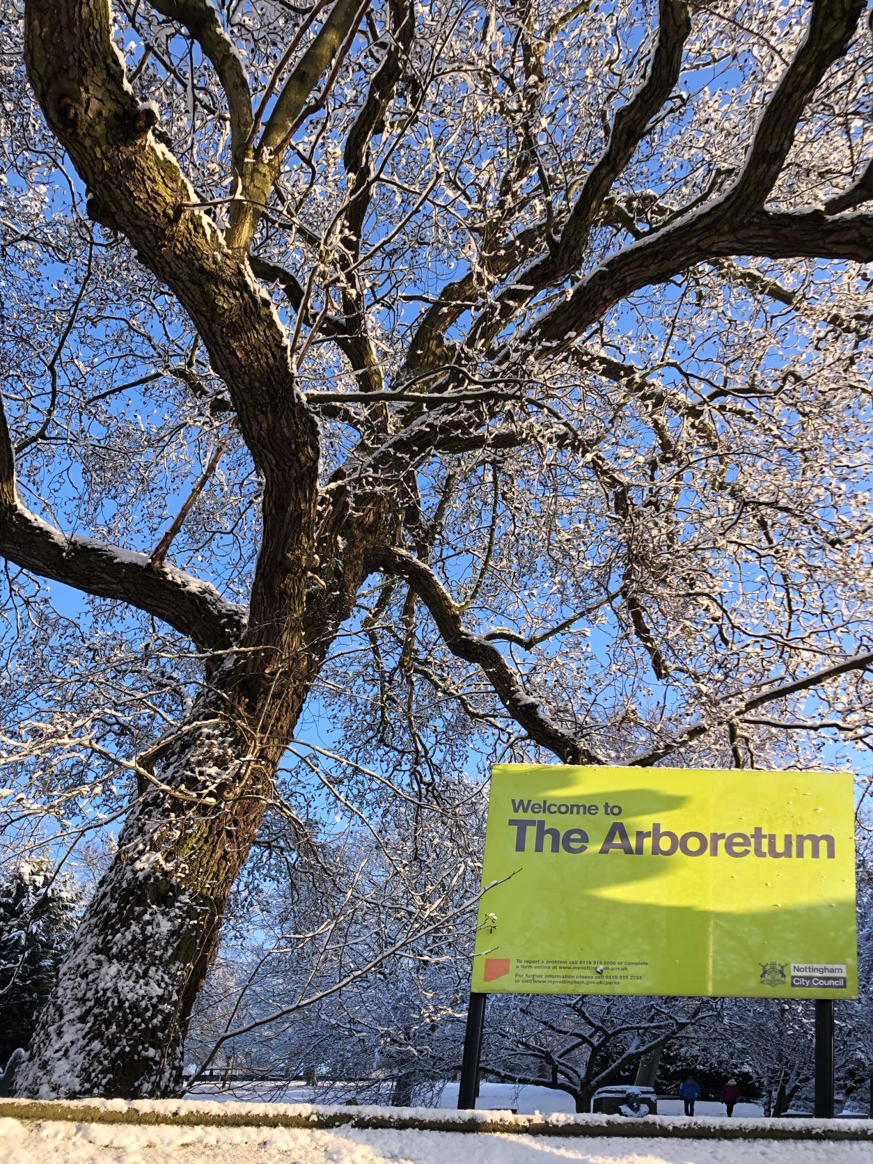 A wintery photograph of the Nottingham Arboretum